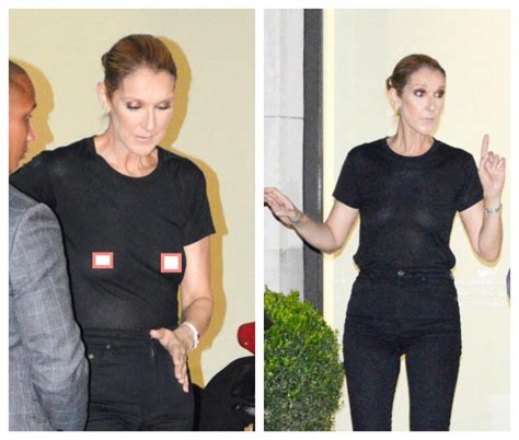 see thru top celine dion|celine dion wardrobe.